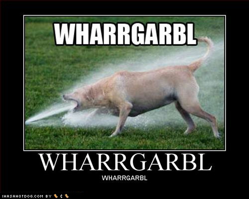Name:  funny-dog-pictures-loldogs-wharrgarbl.jpg
Views: 204
Size:  46.7 KB