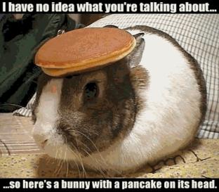 Name:  bunny-pancake.jpg
Views: 303
Size:  19.6 KB