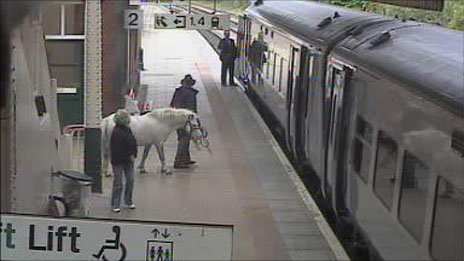 Name:  pony express.jpg
Views: 415
Size:  27.8 KB