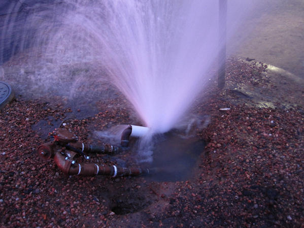 Name:  IMG_1032.jpg
Views: 395
Size:  50.2 KB