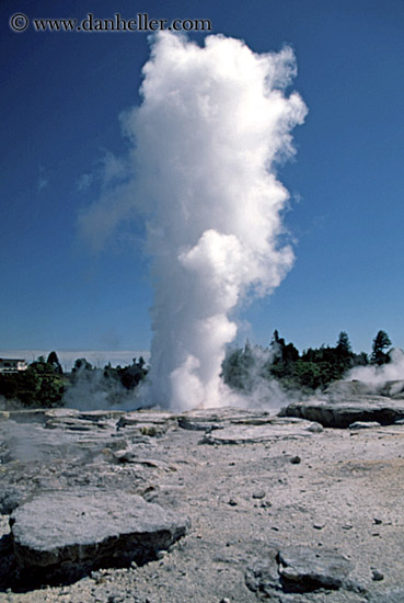 Name:  rotorua-guyser-2-big.jpg
Views: 303
Size:  92.5 KB