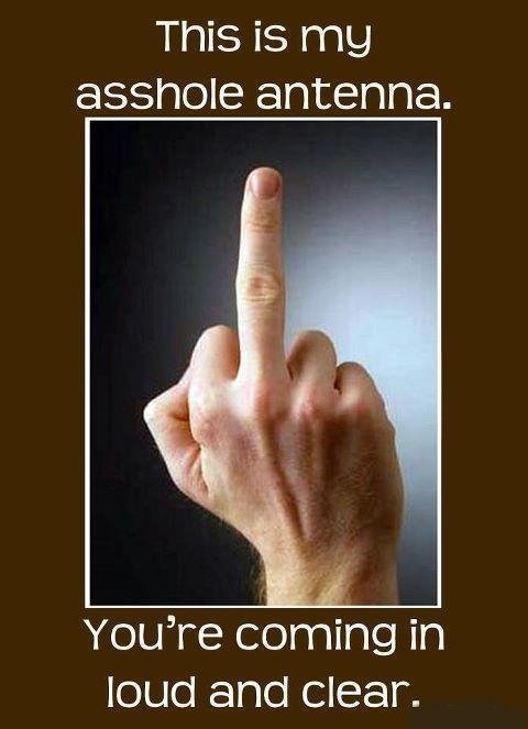 Name:  asshole antenna.jpg
Views: 301
Size:  44.2 KB