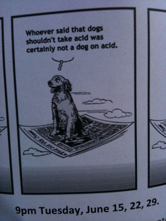 Name:  acid-dog.jpg
Views: 503
Size:  56.3 KB