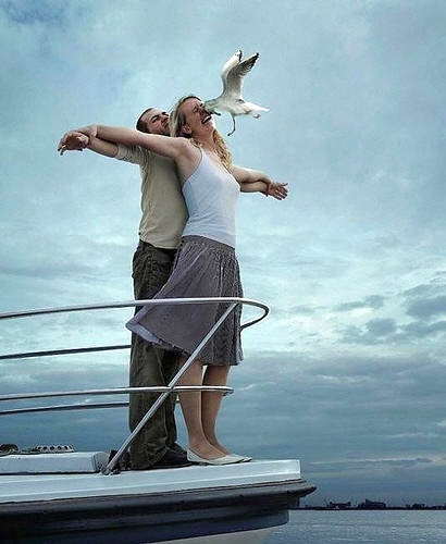 Name:  Titanic Seagull.jpg
Views: 208
Size:  102.5 KB